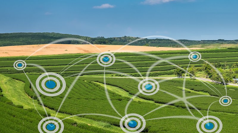 A Greener Cryptocurrency From Bittorrent Inventor, Bram Cohen 1