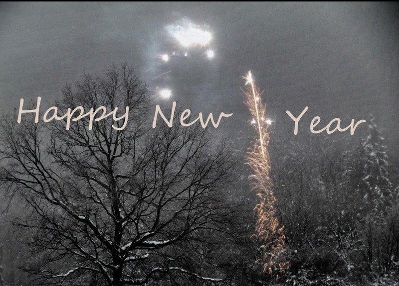 The Next Year in Bitcoin: What 2013 Has in Store 1