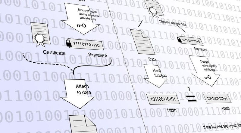 The Power of Schnorr: The Signature Algorithm to Increase Bitcoin's Scale and Privacy 1