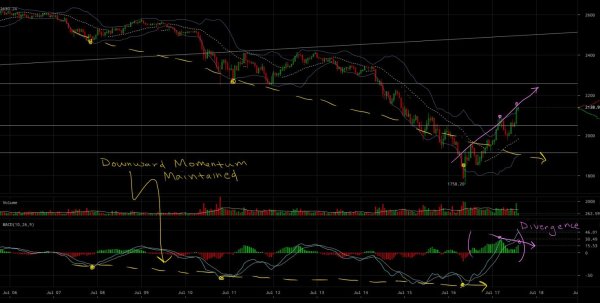 Bitcoin Price Analysis: This Bear Still Has Some Bite Left in It 6