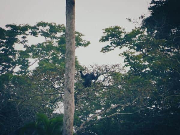 LocalBitcoins' Motorcycle Trek Through Africa: Benin to Angola 6