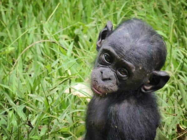 LocalBitcoins' Motorcycle Trek Through Africa: Benin to Angola 10