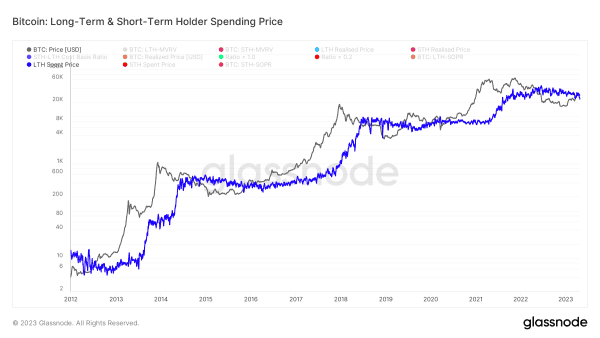 One Year Until The Bitcoin Halving: Analyzing Holder Dynamics 7